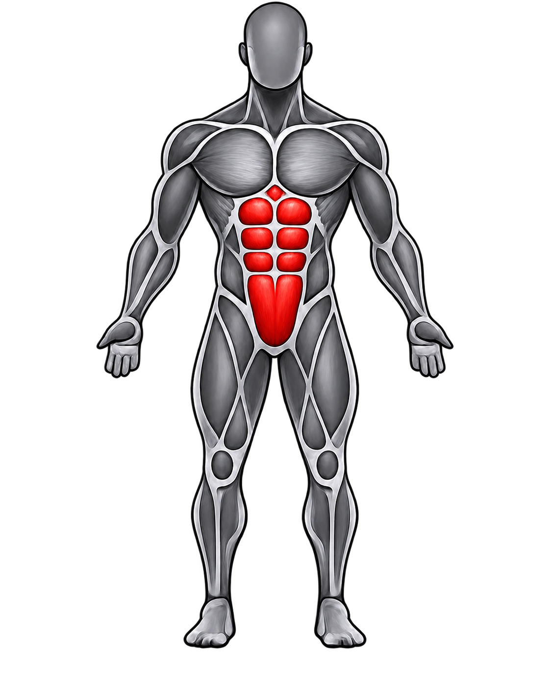 Abdominales en vista hombre